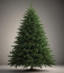 Dark green Christmas tree boughs, slightly blurred background ,  depth of field,  diffused