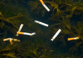 Cigarette pollution in water environment