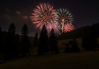 Colorful fireworks over dark forest at night