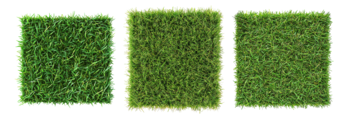 Three Varieties of Artificial Grass Turf for Landscaping Projects, Isolated on Transparent, white background