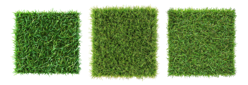 Three Varieties of Artificial Grass Turf for Landscaping Projects, Isolated on Transparent, white background