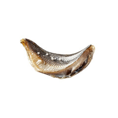 Close-up of a Single Salted and Dried Fish Fillet