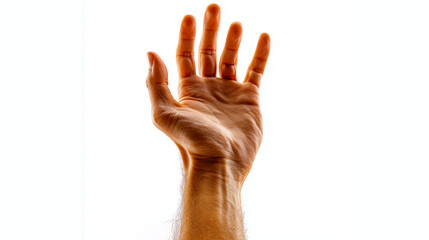 Dramatic Hand Reaching Toward the Sky Closeup on White