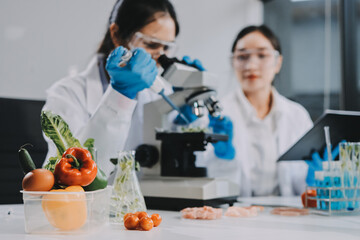 Chemical Laboratory of the Food supply . Food in laboratory, dna modify .GMO Genetically modified...