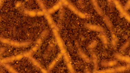 Close-up microscopic view of orange-brown microbial filaments