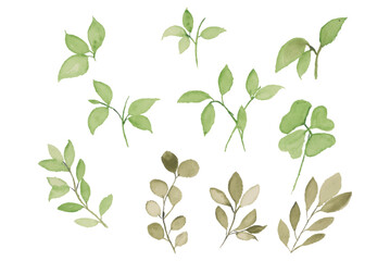 Watercolor leaves illustration set - green leaf branches collection for wedding, greetings, stationary, wallpapers, fashion, background. olive, green leaves, Eucalyptus etc