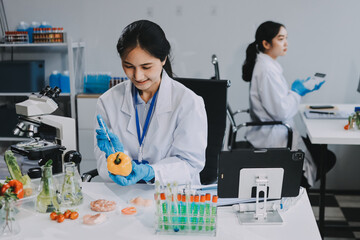 Chemical Laboratory of the Food supply . Food in laboratory, dna modify .GMO Genetically modified...