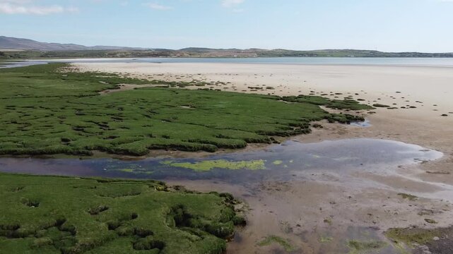 Islay, Scotland&rsquo;s whisky haven, blends rugged natural beauty with pristine seas and abundant birdlife. Known for peaty single malts and serene coastal landscapes, it&rsquo;s a gem for nature and spirits-the