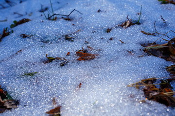 241203秋山郷布岩