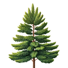 Evergreen Conifer Tree:  A lush, green conifer tree with a majestic, pointed crown. Its dark green needles radiate a sense of peace and tranquility, symbolizing resilience and timeless beauty.  
