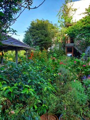 The image captures a lush and vibrant garden scene, likely in Indonesia given the prompt. The...