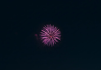 Pink fireworks burst at night