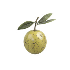 Single Green Olive with Leaves on Black Background