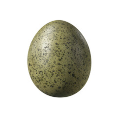Single Speckled Bird Egg Isolated on Black Background