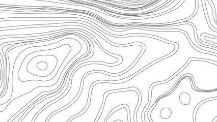 Fototapeta premium Topographic contour map. Vector cartography illustration. Business concept. Fish Fillet Texture, Salmon fillet texture, fish pattern. paper texture