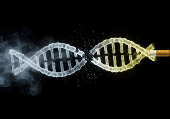 Smoking damages dna