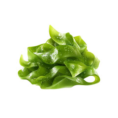 Fresh Kelp Seaweed Isolated on Black Background