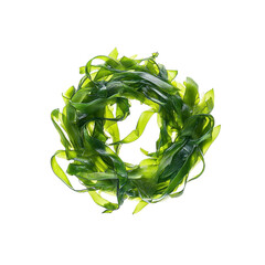 Vibrant Green Seaweed Arranged in a Circular Pattern on Black Background