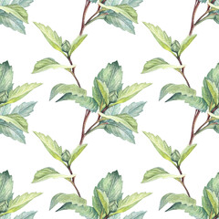Watercolor seamless pattern with bud Dahlia and green leaves on white background. Hand-drawn floral botanical plant. Summer autumn flower. Florist wedding celebration card. Wallpaper or wrapping