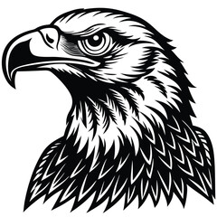 Close up of an Eagle Head with a Saluting Hand Patriotic Design