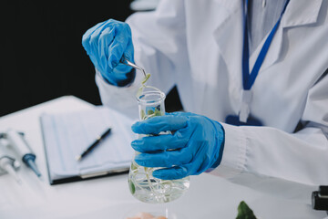 Chemical Laboratory of the Food supply . Food in laboratory, dna modify .GMO Genetically modified...