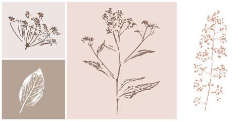 Pink tan and brown floral prints of botanical illustration. Decorative set of flowers and leaves pressed or stamped.