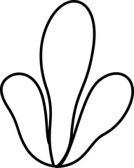 Sea Plants Outline Coloring