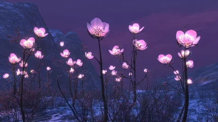 Foto auf Acrylglas Aubergine Glowing pink flowers in a twilight landscape magical nature scene  © Af