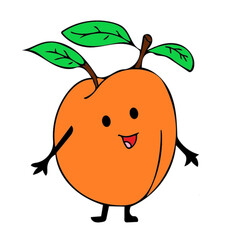 apricot fruit vector illustration isolated on white background.eps