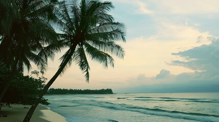 tropical beach with palm trees