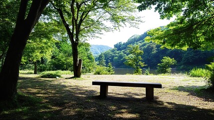bench in the park