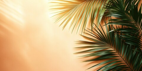 Close-up of green palm leaves casting shadows on a warm beige background with soft natural light creating a calm and peaceful atmosphere