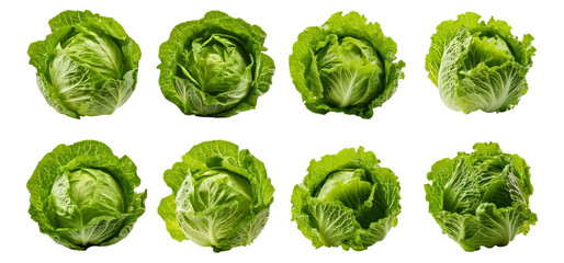 Fresh Green Cabbage Heads Arranged in Eight Different Angles, Isolated on Transparent, white background