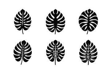 classic monstera leaf silhouette emblem