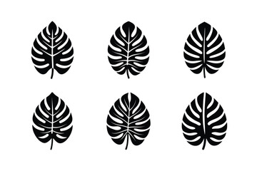 classic monstera leaf icon graphic