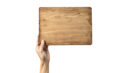 human hand holding blank demonstration wooden board on white background