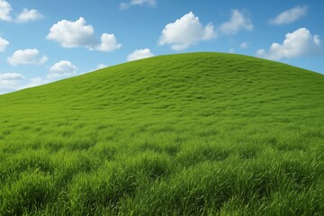 Fototapeta premium green field and blue sky