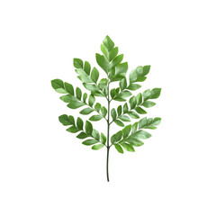 Fototapeta premium Lush Green Fern Sprig Isolated on Black Background