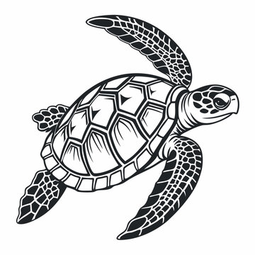 A simple black and white illustration of a sea turtle viewed from above. The turtle has a detailed shell with geometric patterns, flippers extended, and a textured head.
