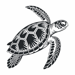 Obraz premium A simple black and white illustration of a sea turtle viewed from above. The turtle has a detailed shell with geometric patterns, flippers extended, and a textured head.