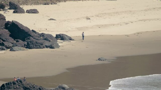 Drone footage of a beach day at Oswald West State Park featuring golden sands, forested edges, and the tranquil Pacific Ocean shoreline.