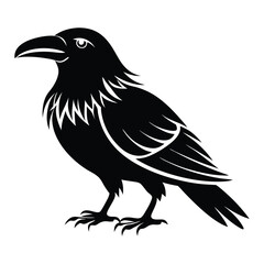 Fototapeta premium crow isolated on white, crow vector illustration, petvector art, crow silhouette, animal vector icon, crow line art, eps 