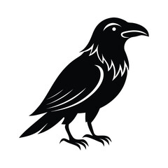 Fototapeta premium crow isolated on white, crow vector illustration, petvector art, crow silhouette, animal vector icon, crow line art, eps 