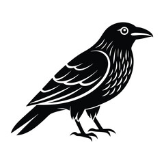 Obraz premium crow isolated on white, crow vector illustration, petvector art, crow silhouette, animal vector icon, crow line art, eps 