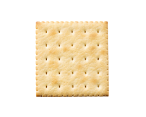 A single soda cracker isolated on a gray background, close up shot transparent background Generative AI