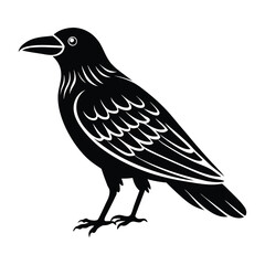 Fototapeta premium crow isolated on white, crow vector illustration, petvector art, crow silhouette, animal vector icon, crow line art, eps 