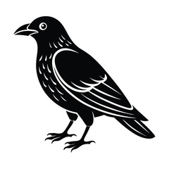 Obraz premium crow isolated on white, crow vector illustration, petvector art, crow silhouette, animal vector icon, crow line art, eps 