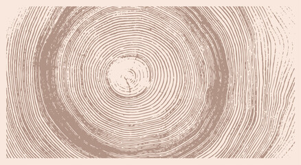 Monotone pink tan and nude botanical tree rings of end grain of wood slab. Growth rings art with texture and cracked surface.
