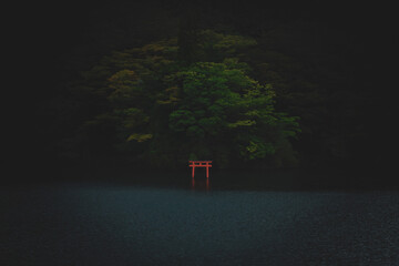 A small Torii gate on the banks of Lake Ashi, Japan