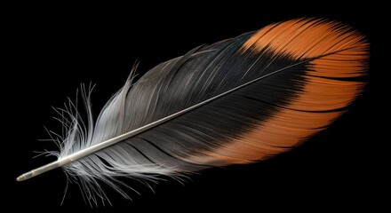 Colorful Artistic Feather Illustration for Creative Projects Use